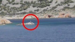 Real Mermaid caught on camera in Mallorca Spain on 10202013