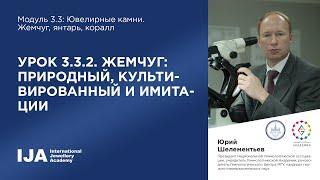 Эксперт. Модуль 3.3 Урок 2. Жемчуг природный культивированный и имитации