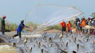 Best Cast Net Fishing In River Traditional Fishing In Cambodia#13