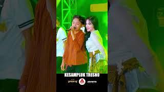 Kesampluk Tresno Laila Ayu Ft Putra Angkasa Bersama Simpatik Music