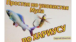 ️простая и уловистая муха. На ХАРИУСА. #рыбалка #2024 #мушкинахариуса