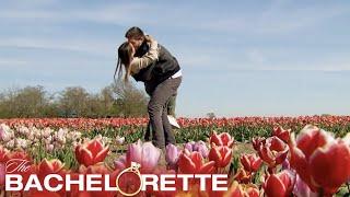 Rachel & Zach Enjoy a Romantic Date at the Tulip Fields in the Netherlands