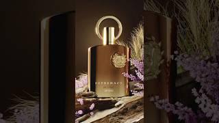 BIG Compliment Getter On A BUDGET  Afnan Supremacy In Oud #fragrancereview #fragrance #cologne