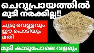 Natural Hair Dyeഅകാലനര തടയാൻ മുടി നല്ല കറുപ്പോടെ വളരാൻ ഈ പൊടി മതി#trending#naturalhairdye