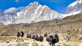 Land of the SHERPAS- Walking under Mount Everest 4K- Mount Everest Base Camp Trek  Full Documentary