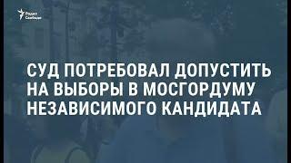 Мосгорсуд постановил зарегистрировать Митрохина кандидатом в депутаты  Новости