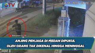 CCTV Rekam Aksi Pria Tak Dikenal di Medan Bunuh Anjing Penjaga dengan Balok Kayu - BIP 0711