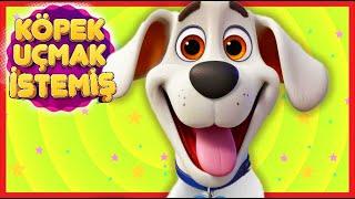 Köpek Uçmak İstemiş - Türkçe Çocuk Şarkıları - Çizgi Film - Tele Domi