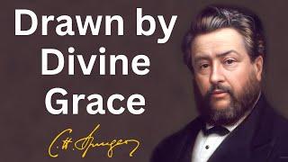 Drawn by Divine Grace  Charles Spurgeon  Updated  Devotional  Morning & Evening Daily Readings