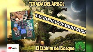 Tirada del Árbol TAURO SEPTIEMBRE 2021