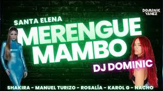 MERENGUE MAMBO MIX 2023 SHAKIRA - KAROL G - Manuel Turizo - Nacho y MUCHOS MAS  DJ DOMINIC - SEU