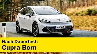 Cupra Born im Dauertest  ÖAMTC auto touring