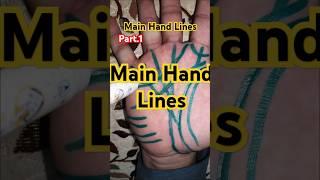 Main hand lines #astrology #palmistery #palmistry #palmanalysis #palmreading #palmist #lines