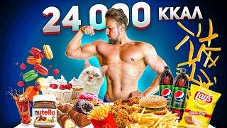 24 000 калорий за 24 ЧАСА  24 000 calorie CHALLENGE