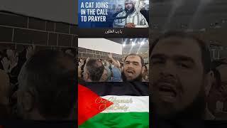 Dua for Palestine Makkah