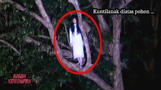 Kuntilanak diatas Pohon.. 5 Penampakan Hantu dan Gangguannya