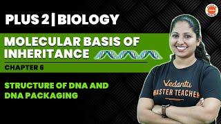 Structure Of DNA & Packaging  Molecular Basis Of Inheritance  Plus Two Biology  Vedantu Malayalam