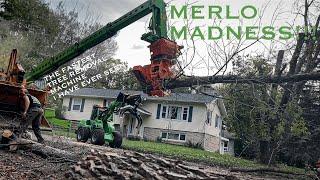 Merlo MADNESS The FASTEST tree removal I have ever seen in my life. Last job with Reon Rounds.