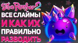 SLIME RANCHER 2 ВСЕ СЛАЙМЫ И ЧТО ТЫ ДОЛЖЕН О НИХ ЗНАТЬ