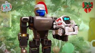 Cozmos Ploy and Christmas Joy  