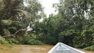 CUYABENO La selva amazónica INEXPLICABLE LATINOAMÉRICA