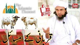 Qurbani Kay Masail By Mufti Tariq Masood Important Clip