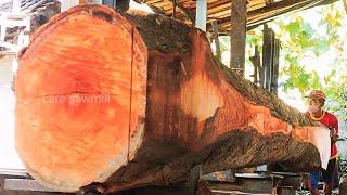 sawing large durian wood using a very sharp band saw