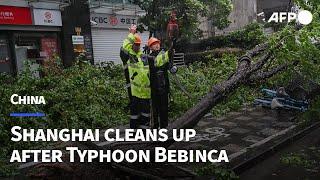 Shanghai cleans up after strongest storm in decades hits Chinese megacity  AFP