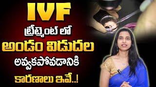 IVF ట్రీట్మెంట్ లో అండం విడుదల అవ్వకపోవడానికి కారణాలు ఇవే.. Dr.Shruthi About IVF Treatment  Ferty9