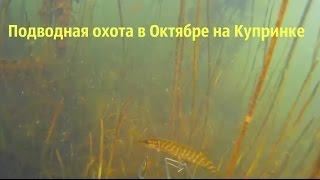 Подводная охота в Октябре на Купринке