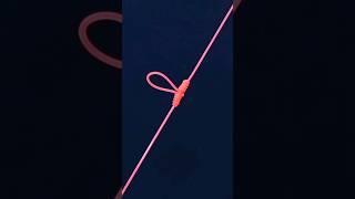 Simplest T Knot Technique - How To Tie A T Knot Fishing