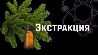 Экстракция. Эксперимент с хвоей. ChemistryToday