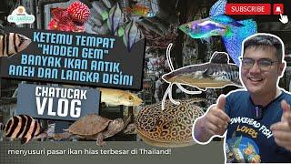 Hidden gem di pasar ikan hias terbesar Thailand Explore toko super komplit cabang dari singapura