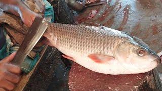 Huge Rohui Fish Cutting And Chopping By a Expert Man at Fish Market