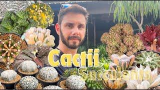 Thousands of GORGEOUS Cactii Succulents Explored in Great Details Rare Trendy Mutated Variegated
