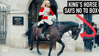 HORSE SAYS NO TO BOX & DOES THIS ️  Horse Guards Royal guard Kings Guard Horse London 2024
