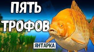 RF4 ЭТО ШОК ПРОСТО ПЯТЬ ТРОФЕЕВ ЗА СТРИМ #рр4