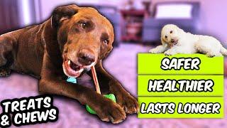 5 BEST DOG CHEWS MONEY CAN BUY  Healthiest Dog Treats & Chews Ive found for my dogs