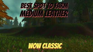 WoW ClassicSkinning guideBest spot to farm Medium Leather