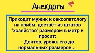 Мужик С Большим Хозяйством У Доктора Подборка Смешных Жизненных Анекдотов Юмор И Смех