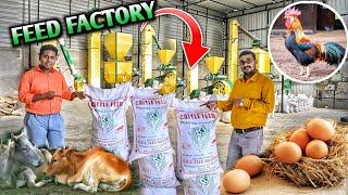 BIGGEST FEED FACTORY  ডাইরেক্ট ফ্যাক্টরি থেকে খাবার কিনুন  Poultry Feed Factory  Cattle Feed