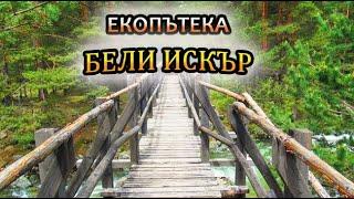 Екопътека Бели Искър - Национален парк Рила Община Самоков