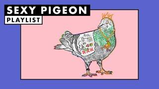 Sexy Pigeon  Playlist