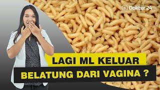 Dokter 24 - IH NGERI  ML JADI GELI KARNA BELATUNG????