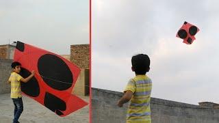 Chhotu ustad flying biggest kite - how to fly biggest kite - little kid fly big kite - 6 tawa kite