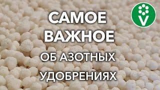 КАКИЕ АЗОТНЫЕ УДОБРЕНИЯ ВНОСИТЬ ВЕСНОЙ А КАКИЕ ТОЛЬКО ЛЕТОМ? Виды удобрений правила внесения