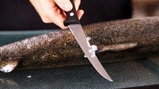 How to Remove Scales  Fish Filleting