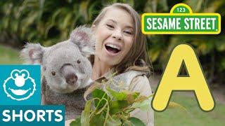 Sesame Street A is for Animals with the Irwin Family