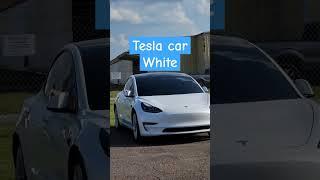 Tesla car white