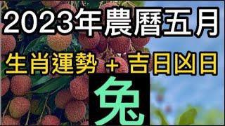 【古柏論命每月運勢 + 吉日凶日】2023年農曆五月陽曆618  717生肖運勢分享 -  兔